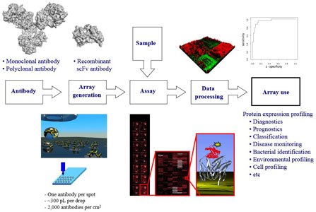 protein microarray techniques immunotechnology protein array