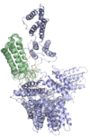 Structure of the grass pollen allergen Phl p 5 demonstrating the flexibility of the molecule