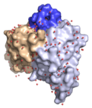 Structure of the human birch pollen allergen-specific antibody M0418