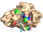 Structure of a carbohydrate-specific module in complex with xylan oligomer