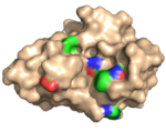 Structure of a carbohydrate-specific module