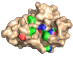 Structure of a carbohydrate-specific module specific evolved to be specific for xylan