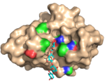 Structure of a carbohydrate-specific module specific evolved to be specific for xylan in complex with xylan tetramer