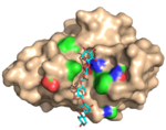 Structure of a carbohydrate-specific module specific evolved to be specific for xylan in complex with xylan pentamer