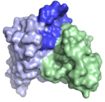 Structure of antibody fragment specific for a major birch pollen allergen