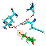Structure of an evolved carbohydrate-specific module in complex with branched oligomer determined using using neutron chrystallography