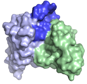 St3D structure picture