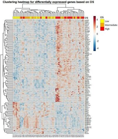 Picture showing heat map in blue and red colors. The color intensity shows the expression level of the gene of interest.