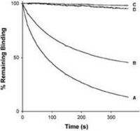 Dissociation curves in graph of time vesus binding