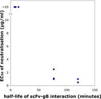 Neutralization of HCMV