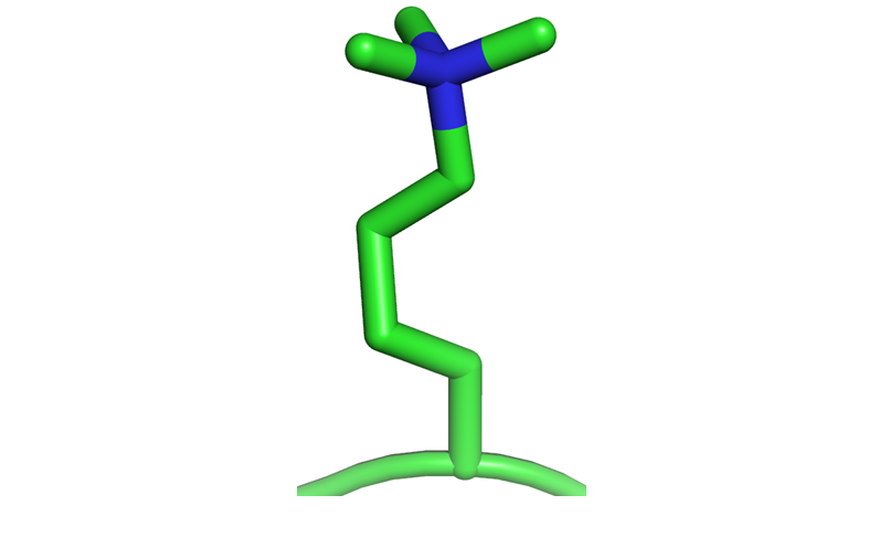 Methylation as a post translational modification.