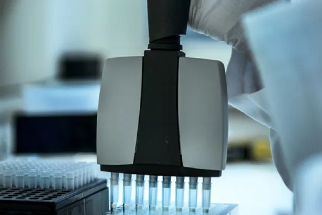 Hand holding set of samples in a lab. Photo.