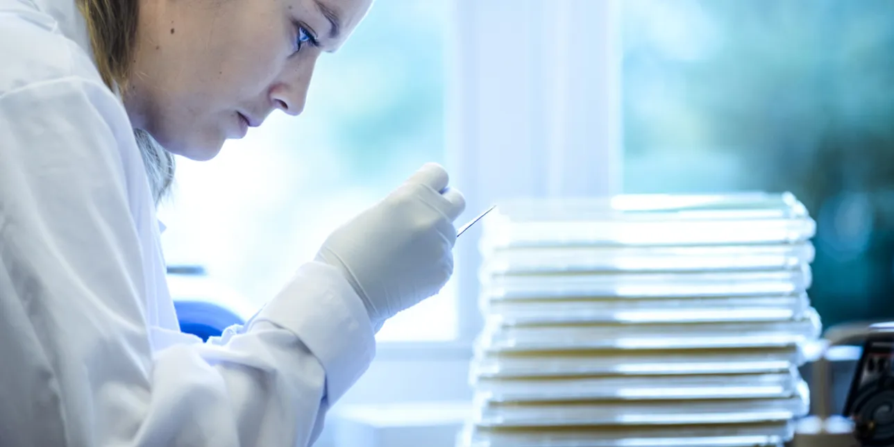 Researcher examining something in a lab. Photo.
