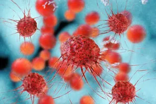 Microscopic close-up of cells. Illustration.